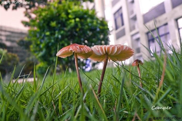 怎样的相机和技术能拍出那样的照片？ 